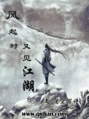 男主女主是柳寒枫,张莫言,刘衡的小说是什么_风起时又见江湖