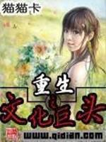 男主女主是林俊,张晓雯,严景文的小说是什么_重生之文化巨头