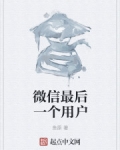 男主女主是陈子凌,古若菲,单进良的小说是什么_微信最后一个用户
