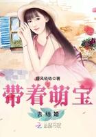 男主女主是苏锦年,刘婧,苏锦的小说是什么_带着萌宝去结婚