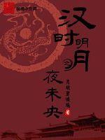 男主女主是卫子夫,刘彻,卫青的小说是什么_汉时明月之夜未央