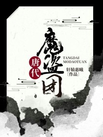 小说《唐代魔盗团》TXT下载_唐代魔盗团