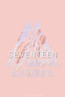 seventeen之成功的粉丝_seventeen之成功的粉丝