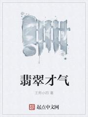 男主女主是张曜,苏若兰,陈小雷的小说是什么_翡翠才气