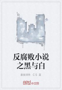 小说《反腐败小说之黑与白》TXT下载_反腐败小说之黑与白