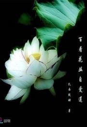 小说《百看花丛自爱莲》TXT百度云_百看花丛自爱莲