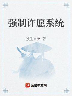 小说《强制许愿系统》TXT百度云_强制许愿系统