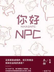 小说《你好NPC》TXT下载_你好NPC