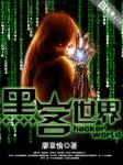 小说《黑客世界》TXT下载_黑客世界
