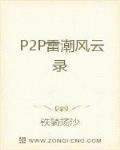 男主女主是赵力,刘耀,林新之的小说是什么_P2P雷潮风云录