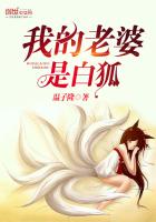 男主女主是沈枫,姜绮琳,沈诗涵的小说是什么_我的老婆是白狐