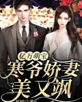 小说《亿万萌宝：寒爷娇妻美又飒》TXT下载_亿万萌宝：寒爷娇妻美又飒