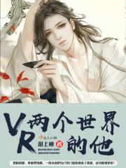 男主女主是李闵奇,林焕明,田晴的小说是什么_VR两个世界的他
