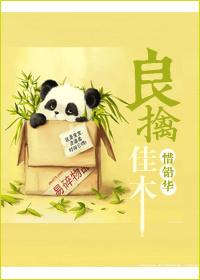 小说《良擒佳木》TXT下载_良擒佳木