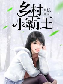 男主女主是陈小远,陈小,沈冰冰的小说是什么_乡村小霸王