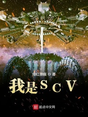 scv code是什么意思_我是SCV