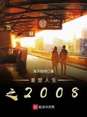 男主女主是王东升,冯岩,胡亦然的小说是什么_重塑人生之2008