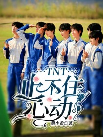 小说《TNT：止不住心动》TXT百度云_TNT：止不住心动