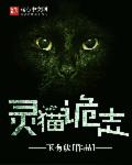 男主女主是琳琅,夏琳琅,江斯卿的小说是什么_灵猫诡志