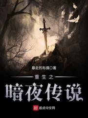 男主女主是王安伦,李佑昌,卡洛斯的小说是什么_重生之暗夜传说