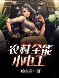 男主女主是徐晓晓,刘素,叶美的小说是什么_农村全能小电工