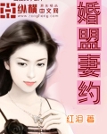 男主女主是李凌,阿梅,沈君拓的小说是什么_先婚试爱：千亿爱人的宠妻