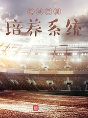 男主女主是林峰,杨旭,欧冠的小说是什么_足球巨星培养系统