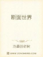 男主女主是可铭,刘汉,苏妮的小说是什么_断面世界