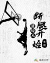 小说《篮球：从断腿开始》TXT百度云_篮球：从断腿开始