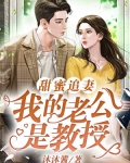 男主女主是安安,陈振,柳子森的小说是什么_甜蜜追妻：我的老公是教授