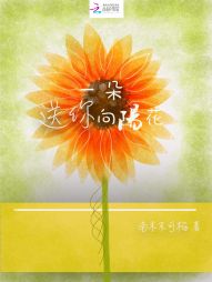 小说《送你一朵向阳花》TXT下载_送你一朵向阳花