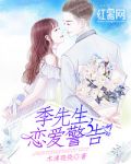 男主女主是季枫,宋小西,王少阳的小说是什么_季先生，恋爱警告