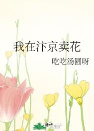 小说《我在汴京卖花》TXT百度云_我在汴京卖花