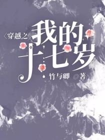 男主女主是顾锦,李靖康,苏启城的小说是什么_穿越之我的十七岁