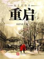 小说《从2008重启》TXT下载_从2008重启