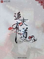 秦少白许天胜《追夫有道》_追夫有道