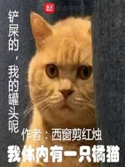 男主女主是王乐,张雨晴,吴强的小说是什么_我体内有一只橘猫