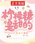 男主女主是哈里,贾莲心,梁辉的小说是什么_柠檬糖是甜的