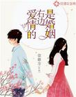 男主女主是王璇,心蓓,刘秀容的小说是什么_爱情的右边是婚姻