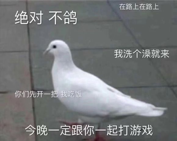 绝对不鸽gl小说_绝对不鸽gl