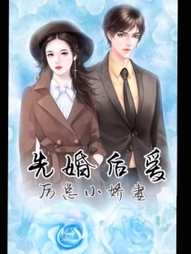 男主女主是厉景衍,苏慕兰,傅靳轩的小说是什么_先婚后爱，厉总小娇妻