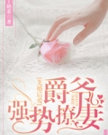 男主女主是陆北辰,傅禹阳,艾利的小说是什么_先婚后爱：爵爷强势撩妻