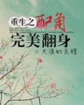 男主女主是夏子瑜,夏峰,潘淑慧的小说是什么_重生之配角完美翻身