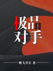 男主女主是罗晓明,陈汉成,时宇的小说是什么_极品对手
