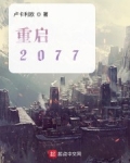 小说《重启2077》TXT百度云_重启2077