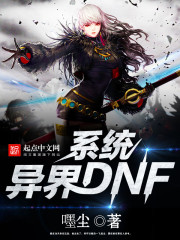 dnf系统流小说_异界DNF系统