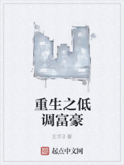 男主女主是王勋,赵伟,宝乐迪的小说是什么_重生之低调富豪