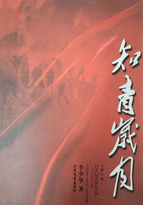 男主女主是张铁军,刘琴,刘志坚的小说是什么_知青岁月