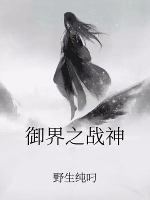 男主女主是杨硕,凌武,炽天的小说是什么_御界之战神