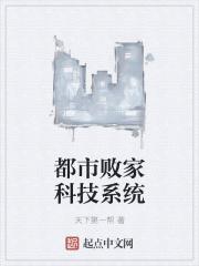 男主女主是王浩,陈兵,杨金的小说是什么_都市败家科技系统